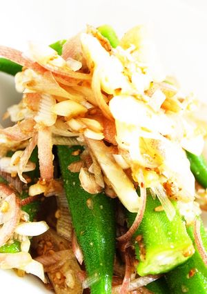 オクラとみょうがのささっと胡麻醤油和え-レシピのメイン写真
