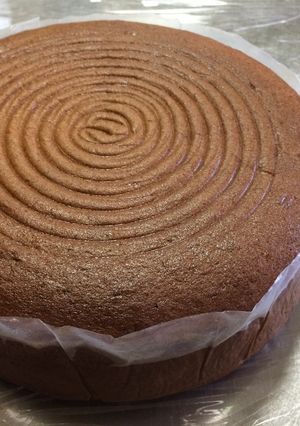 コーヒースポンジケーキ-レシピのメイン写真
