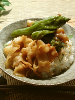 夏バテ解消✿さっぱり極旨スタミナ丼-レシピのメイン写真