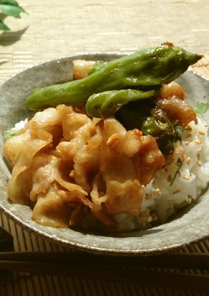 夏バテ解消✿さっぱり極旨スタミナ丼-レシピのメイン写真