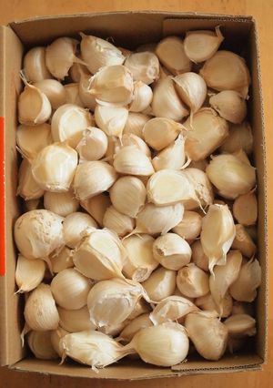 冷凍より楽チン簡単！にんにく保存方法-レシピのメイン写真