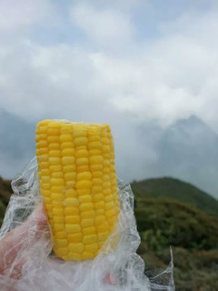 冷え冷えトウモロコシ-レシピのメイン写真