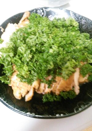 夏にぴったり鳥胸肉とパセリ-レシピのメイン写真