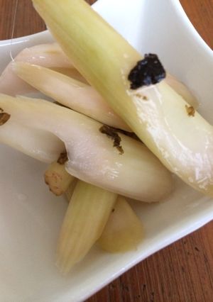 セロリのピクルス-レシピのメイン写真