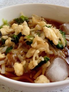 ゴーヤのつるっと♪冷やしぶっかけうどん-レシピのメイン写真