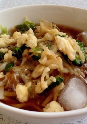 ゴーヤのつるっと♪冷やしぶっかけうどん-レシピのメイン写真