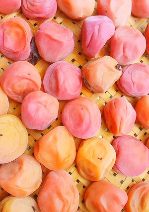 梅干を作ってみよう☆～土用干し♪-レシピのメイン写真