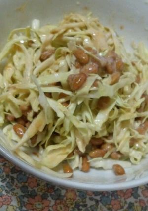 納豆キャベツ☆-レシピのメイン写真
