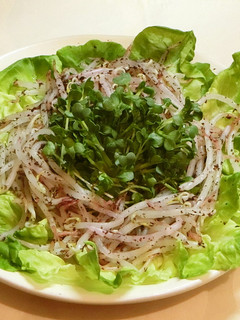 もやしとカイワレの給料前サラダ-レシピのメイン写真