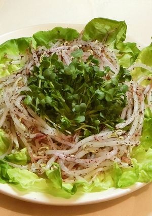 もやしとカイワレの給料前サラダ-レシピのメイン写真