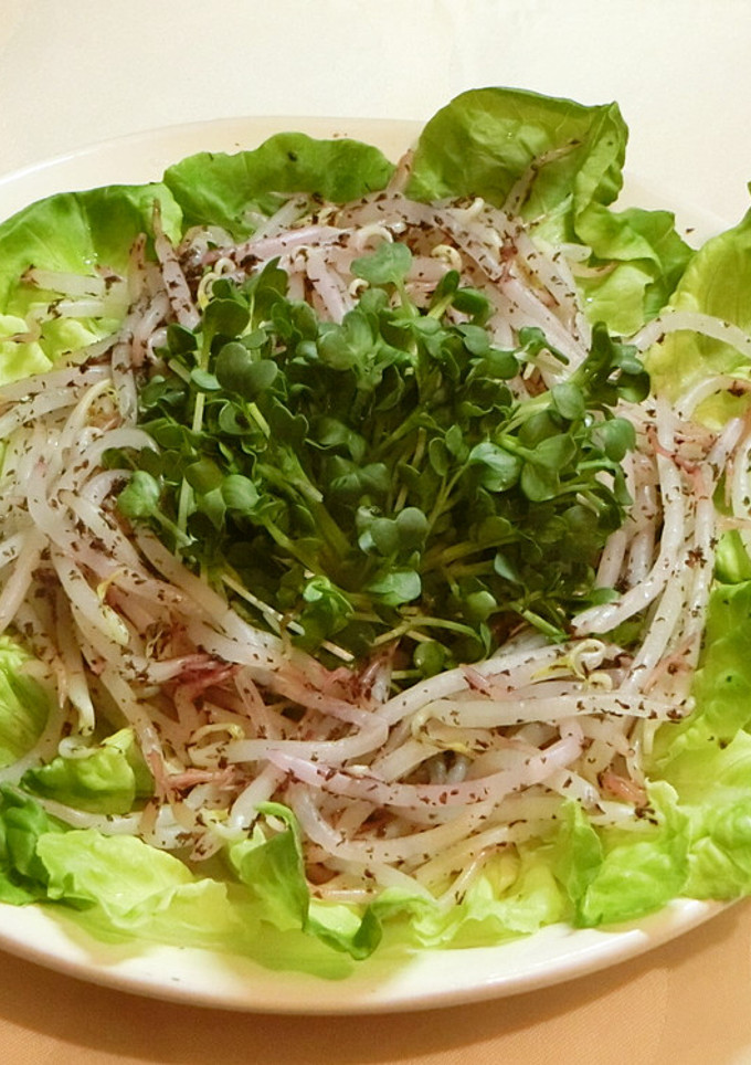 もやしとカイワレの給料前サラダ-レシピのメイン写真