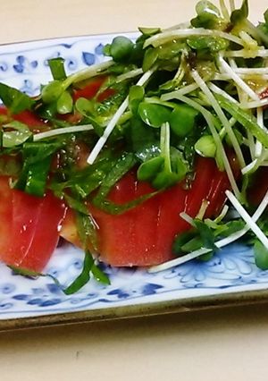 スグ出来サラダ★トマトと和ハーブサラダ-レシピのメイン写真