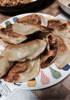 ひき肉ともやしの揚げ餃子-レシピのメイン写真