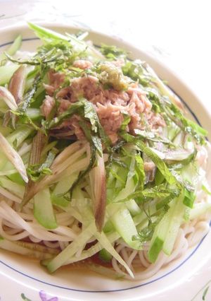 夏に美味しい♪ツナサラダそうめん-レシピのメイン写真