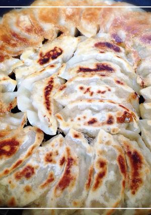 夏はさっぱり 大葉入り餃子-レシピのメイン写真