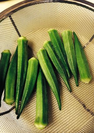 オクラのおいしい茹で方 覚え書-レシピのメイン写真