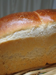 天然酵母のパン(巨峰編)-レシピのメイン写真
