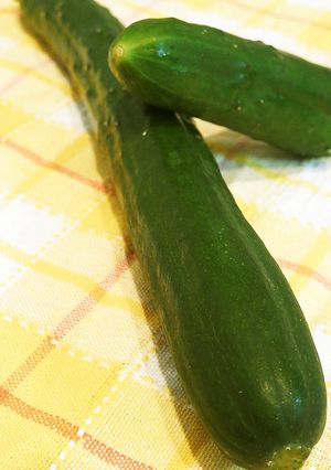 キュウリの一先ず保存はこれ！-レシピのメイン写真