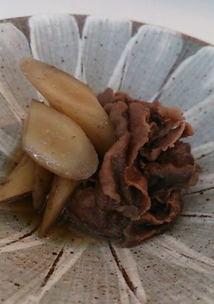 圧力鍋で肉ごぼう-レシピのメイン写真