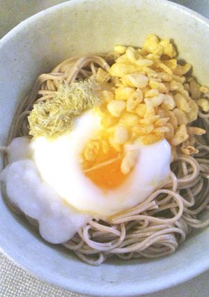 温泉卵のおぼろ月見そば-レシピのメイン写真