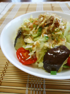 揚げナス入りサラダうどん-レシピのメイン写真