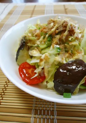 揚げナス入りサラダうどん-レシピのメイン写真