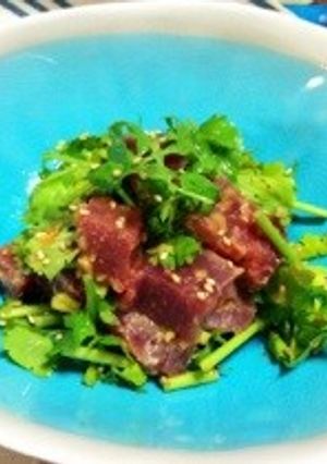 パクチーとマグロのおつまみサラダ-レシピのメイン写真