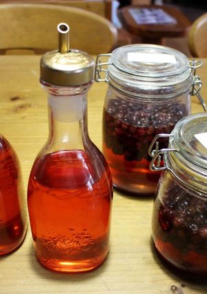 ジューンベリー酢の作り方と応用編-レシピのメイン写真