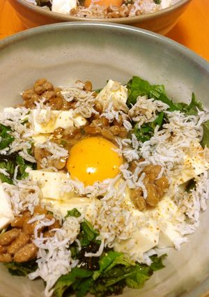 ネバネバ具材＆豆腐の月見丼-レシピのメイン写真