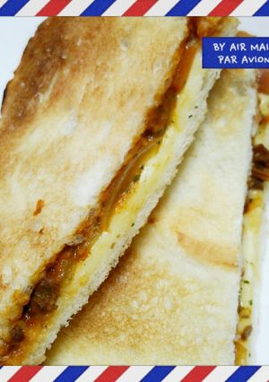 朝食ブランチ☆リメイクハヤシホットサンド-レシピのメイン写真