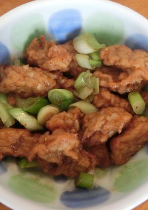 ごぼう天の甘辛煮-レシピのメイン写真
