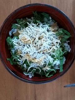 夏のウマさだ!さっぱりしらす丼-レシピのメイン写真
