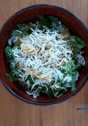 夏のウマさだ!さっぱりしらす丼-レシピのメイン写真