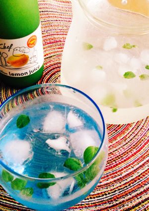 夏にぴったり！レモンミントウォーター☆-レシピのメイン写真