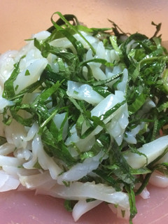 イカ大葉のごま油和え-レシピのメイン写真