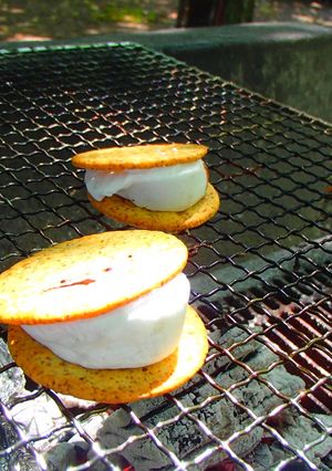 BBQ マシュマロデザート♪-レシピのメイン写真