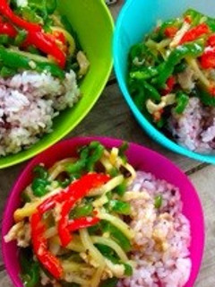 【山ごはん】ピーマンたっぷりの青椒肉絲-レシピのメイン写真