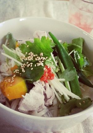 お野菜たっぷり冷しゃぶうどん-レシピのメイン写真