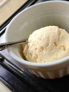 濃厚!ココナッツミルクアイスクリーム-レシピのメイン写真