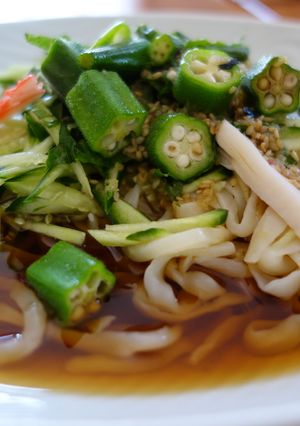 なす焼の残り汁で冷やしうどん-レシピのメイン写真