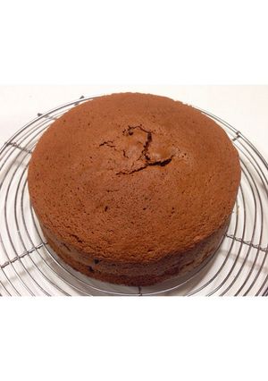 ココアスポンジケーキ-レシピのメイン写真