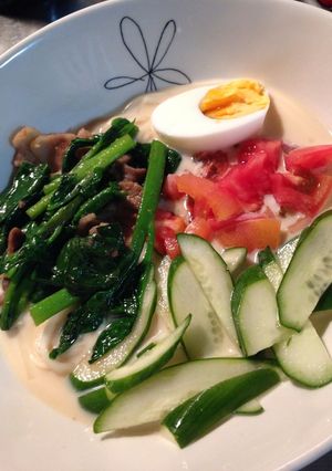簡単満足炒めもの乗っけ☆豆乳素麺-レシピのメイン写真