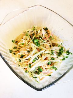 もやしとかいわれのわさび醤油サラダ-レシピのメイン写真