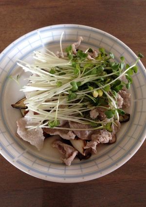 簡単★さっぱり！焼き野菜の冷しゃぶのせ-レシピのメイン写真