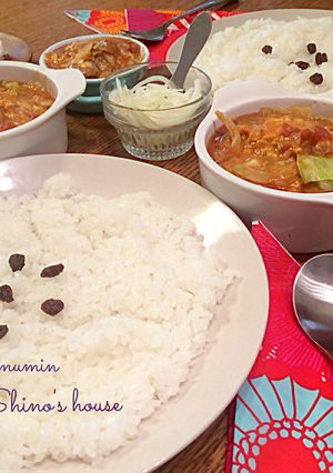 拝啓夢民・夫大好き野菜カレー-レシピのメイン写真