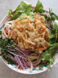 サラダ風冷やしうどん-レシピのメイン写真
