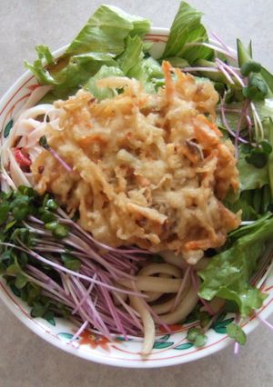 サラダ風冷やしうどん-レシピのメイン写真