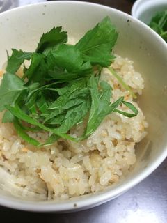 料亭の味?炊き込みご飯-レシピのメイン写真