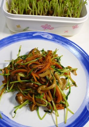 豆苗とぶなしめじのソース炒め-レシピのメイン写真