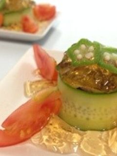 焼き茄子onジュレ-レシピのメイン写真